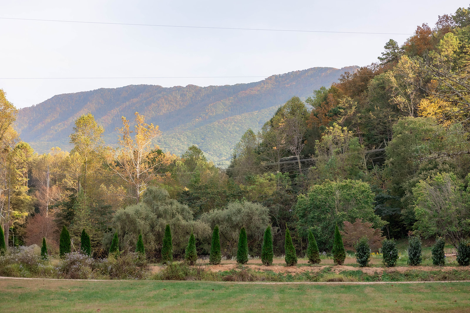 Lindsey Creek